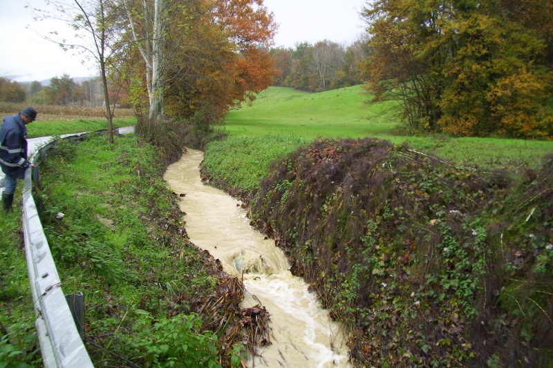 terranuova_borro-tasso.JPG